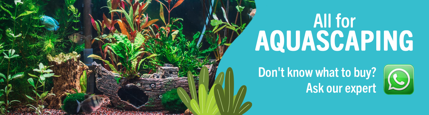 All for Aquascaping