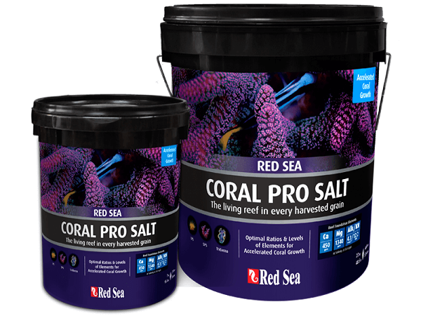 RED SEA CORAL PRO SALT Kg.7 Sale per acquario marino
