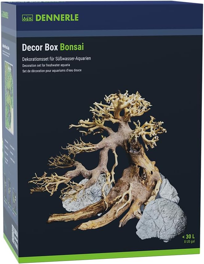 DECOR BOX BONSAI
