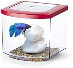 BETTACUB ROSSO