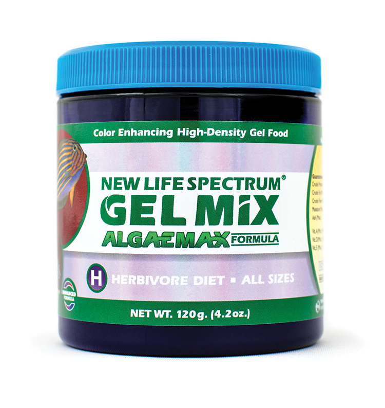SPECTRUM ALGAE GEL MIX 100g