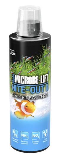 NITE OUT II 473ml