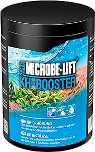 KH BOOSTER 1000g