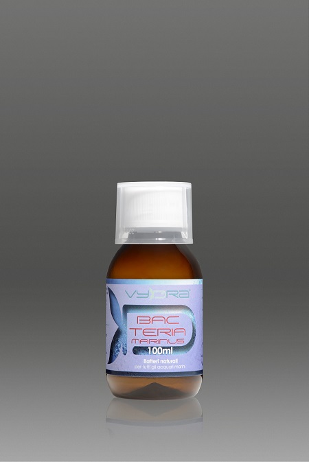 BACTERIA 100ml