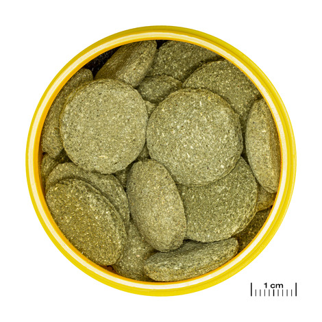 PRONOVO PLECO WAFER XL 1000ML 