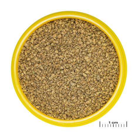 PRONOVO KILLIFISH GRANO S 100ml