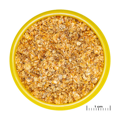 PRONOVO DAPH 100ML