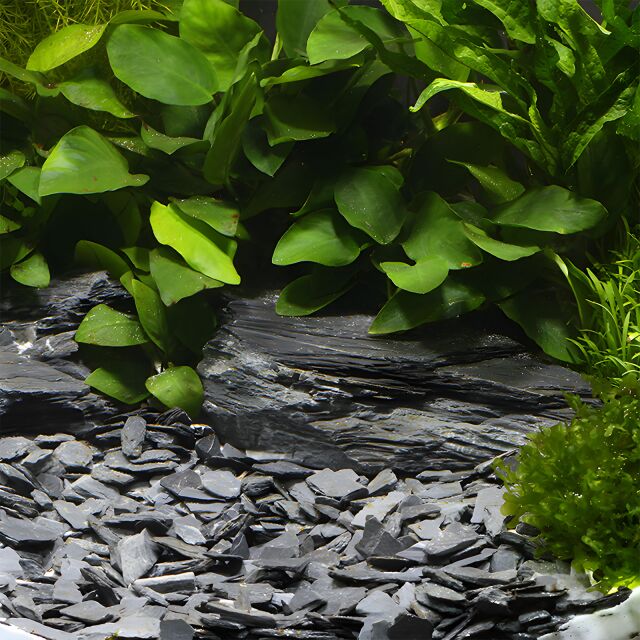 DENNERLE NATURAL GRAVEL KONGO 10-30 mm Kg.0,5 DENNERLE
