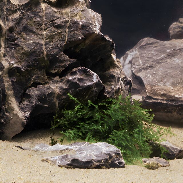 DENNERLE NATURAL GRAVEL MEKONG 0,1-0,6mm Kg.0,5 DENNERLE
