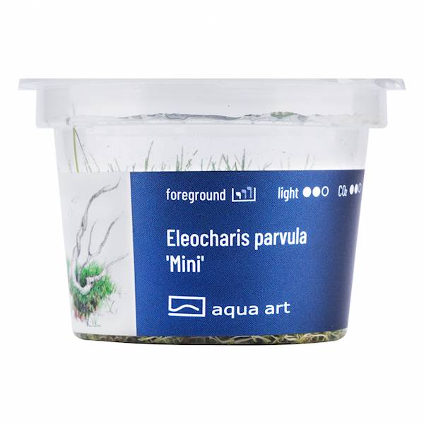 ELEOCHARIS PARVULA MINI AQUA ART