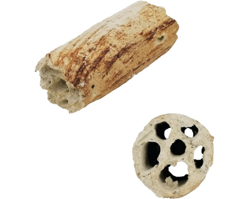 MULTI HOLES FOR SHRIMPS 8x6cm AQUAROCHE