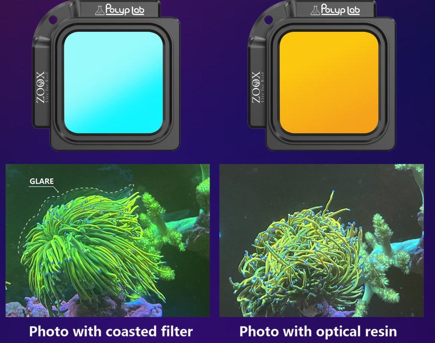CORAL VIEW LENS V2 per Iphone 12 e successivi POLYPLAB