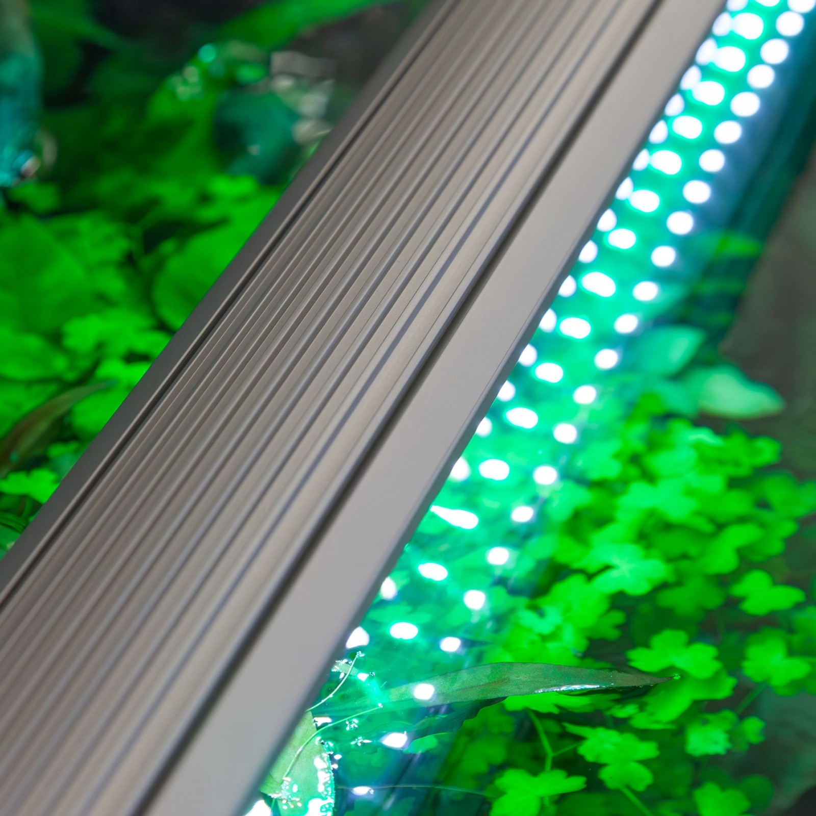 EASYLED UNIVERSAL RGBW 900 AQUATLANTIS