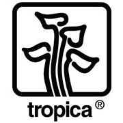 PIANTE TROPICA