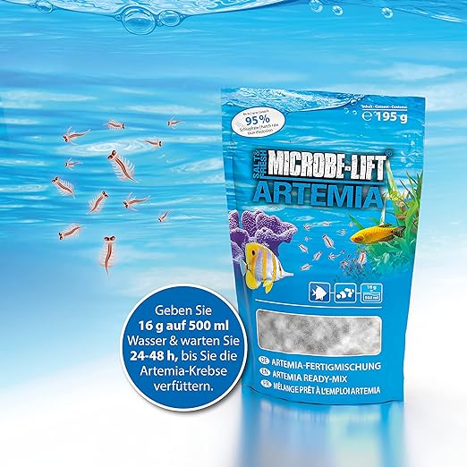 ARTEMIA EGGS and SALT ready to use