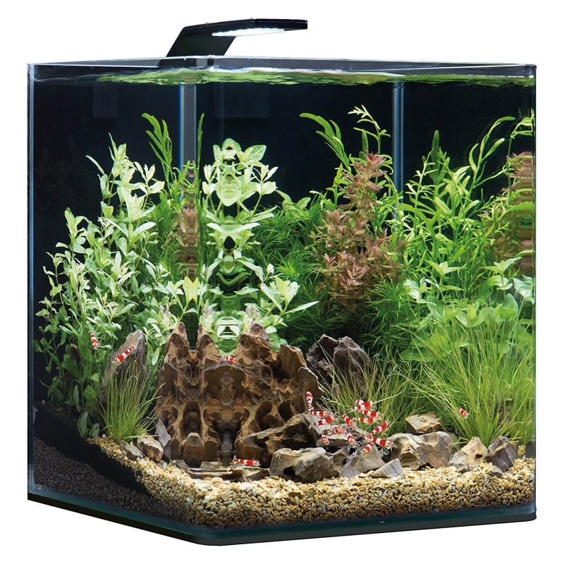 DENNERLE NANO CUBE BASIC STYLE LED 60 Litri DENNERLE