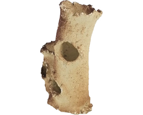 DOUBLE TRUNK 10x6cm AQUAROCHE