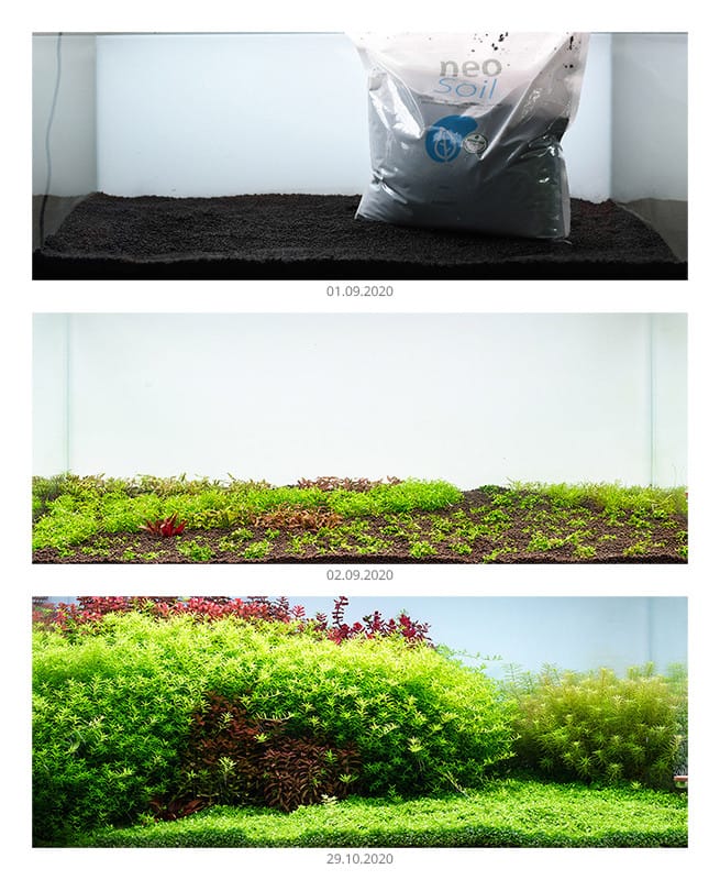 NEO PLANT SOIL BROWN 8 Liters