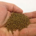 LPS CORAL PELLET 60g