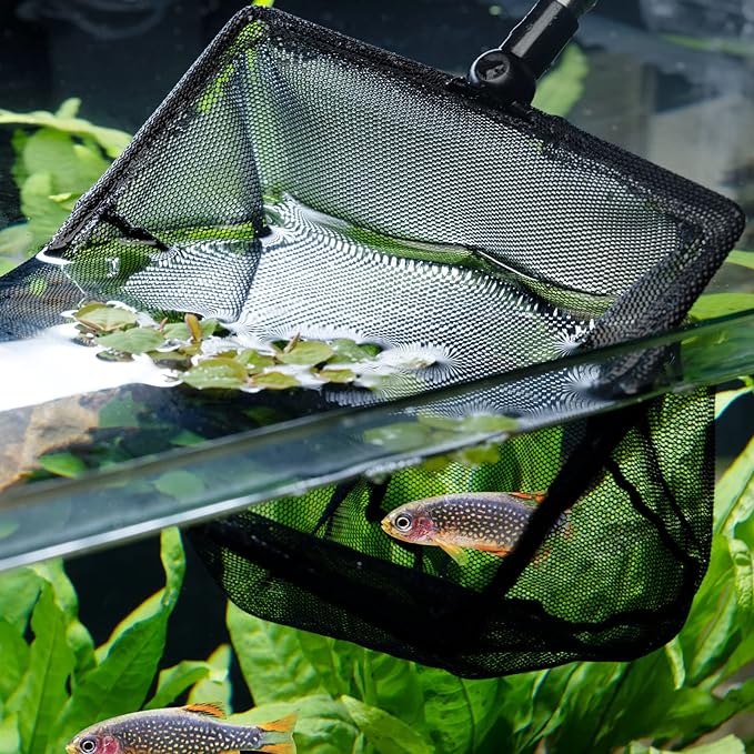 FISH NET SMALL Telescopico DENNERLE