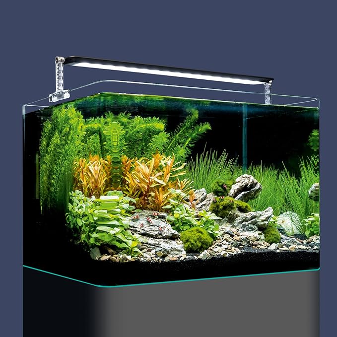 NANO TANK PLANT PRO 55 Litri DENNERLE