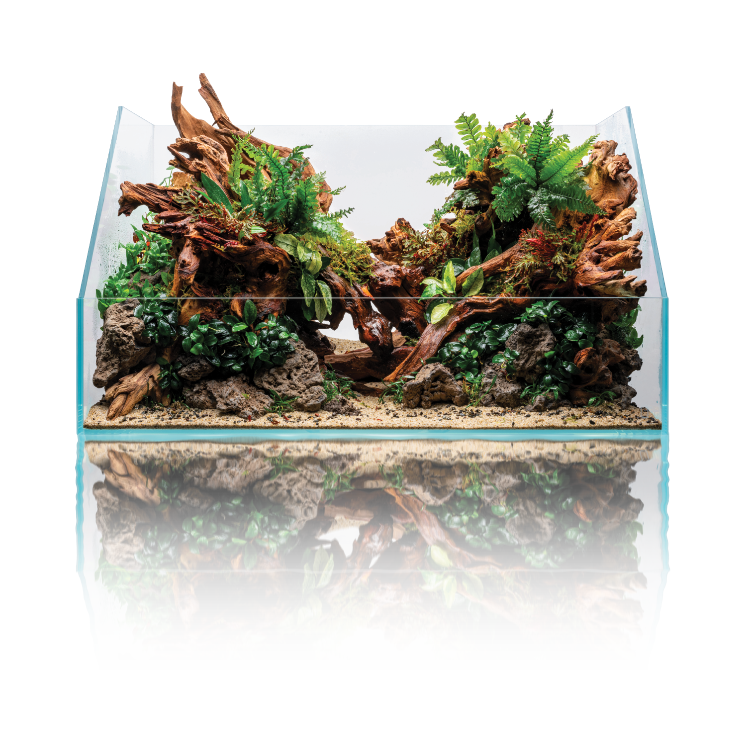PALUDARIUM 60E UNS