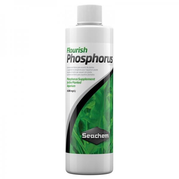 PHOSPHORUS 100ml