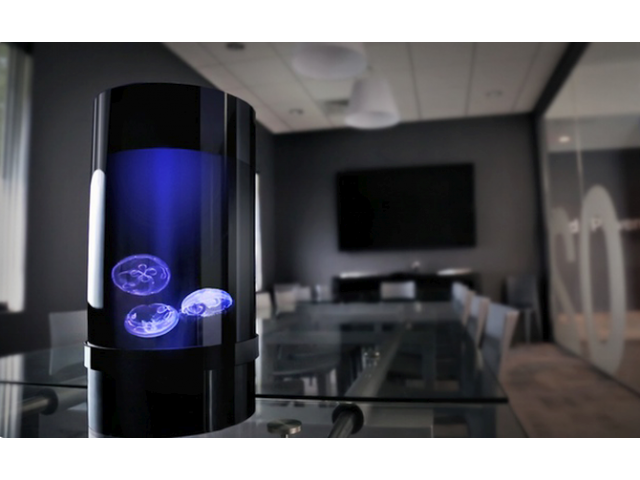 JELLYFISH CYLINDER NANO TROPICALNATURE