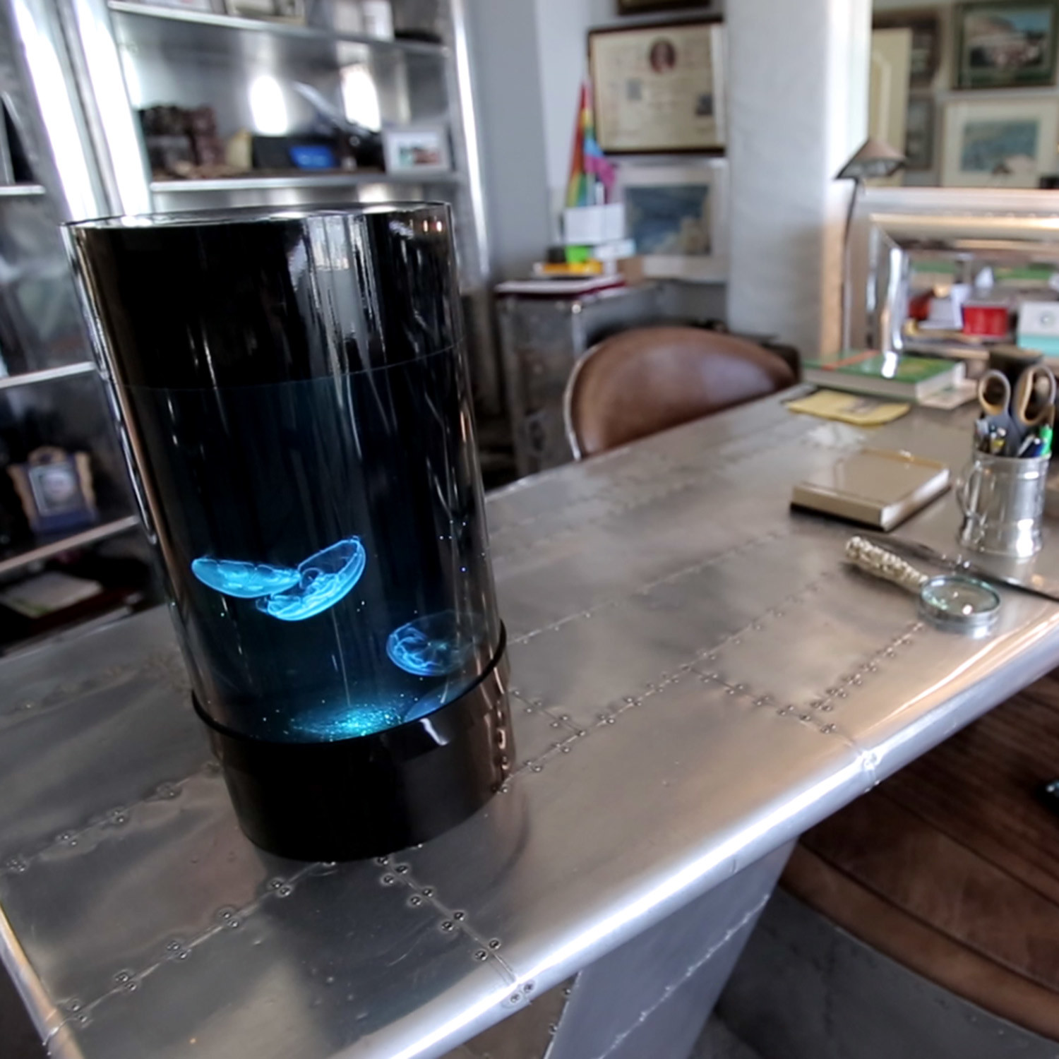 JELLYFISH CYLINDER NANO TROPICALNATURE