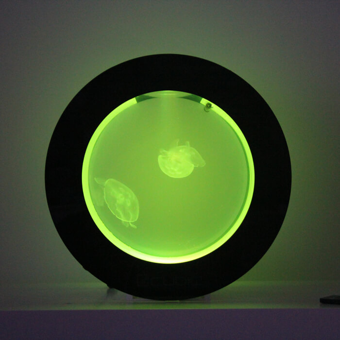 O16 JELLYFISH BLACK jellyfish aquarium