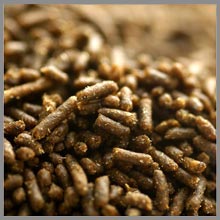 ALGAE PELLET XS 1,0mm - 140g