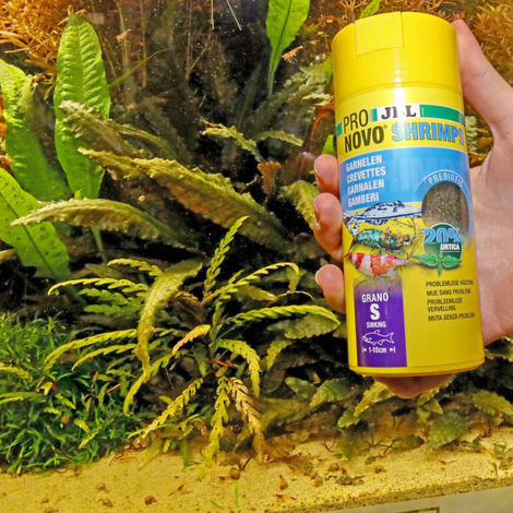 PRONOVO SHRIMPS GRANO S 100ML CLICK JBL