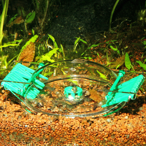 LIMCOLLECT - Trappola per lumache JBL