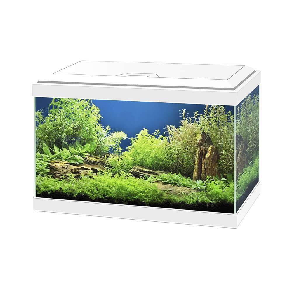 AQUA 20 BIANCO CIANO