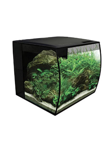 FLUVAL FLEX 34Lt ASKOLL