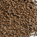 GOLDFISH PELLET S 140g VITALIS