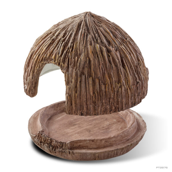 COCONUT CAVE EXOTERRA