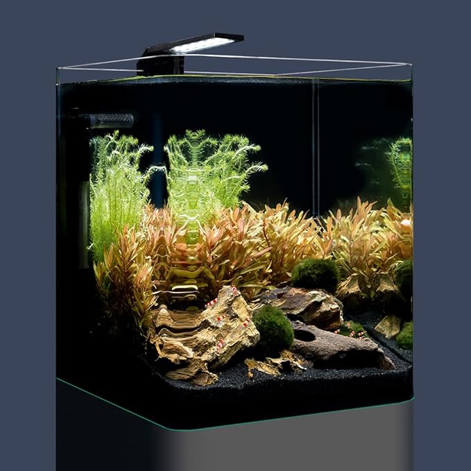 DENNERLE NANO CUBE BASIC 20 Litri DENNERLE