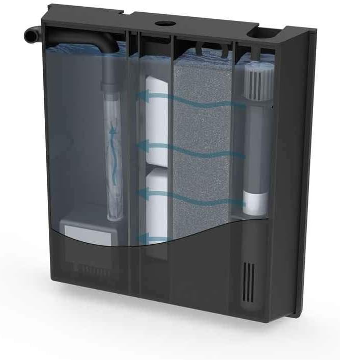 CYAN WATER CLEAR L