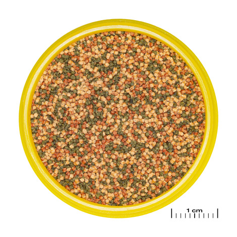 PRONOVO BEL GRANO S 100ML 