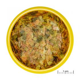 PRONOVO BEL FLAKES S 100ML