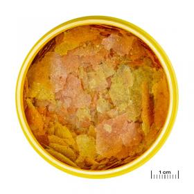 PRONOVO COLOR FLAKES M 100ML 