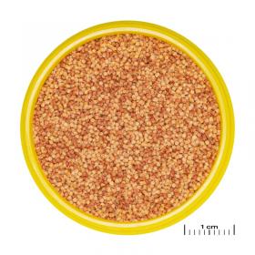 PRONOVO COLOR WHEAT S 100ML
