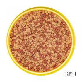 PRONOVO COLOR GRANO M 250ML 