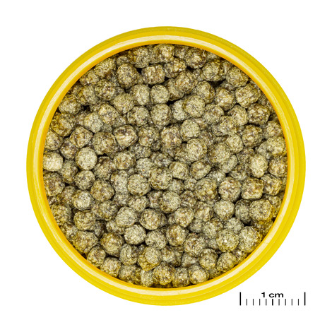 PRONOVO RED GRANO M 100ML JBL