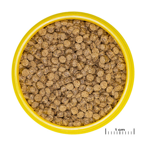 PRONOVO FANTAIL GRANO M 1000ml 