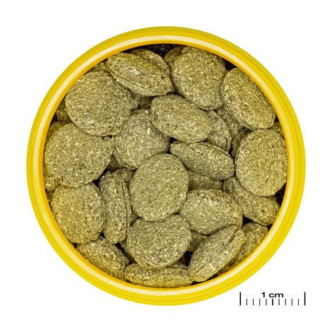 PRONOVO PLECO WAFER M 250ML 