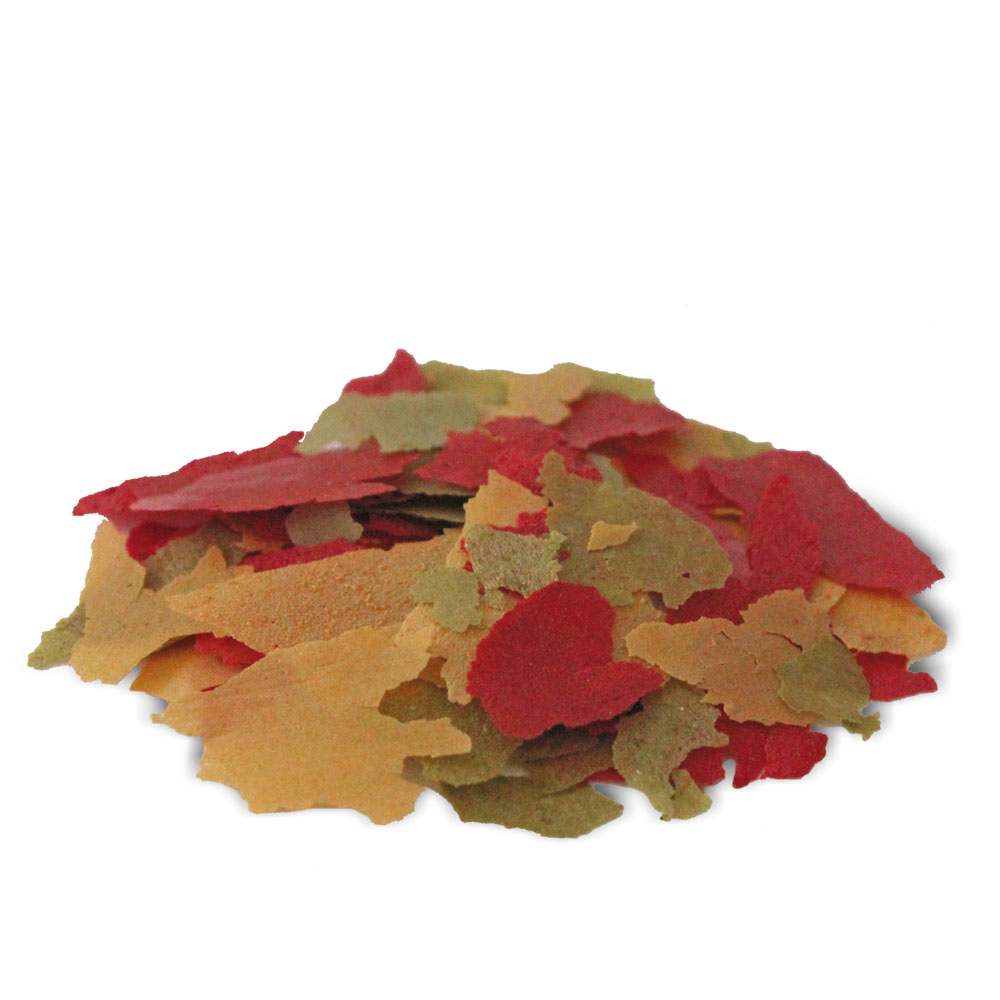 COLOR 250ML