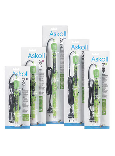 ASKOLL THERM XXL 300W