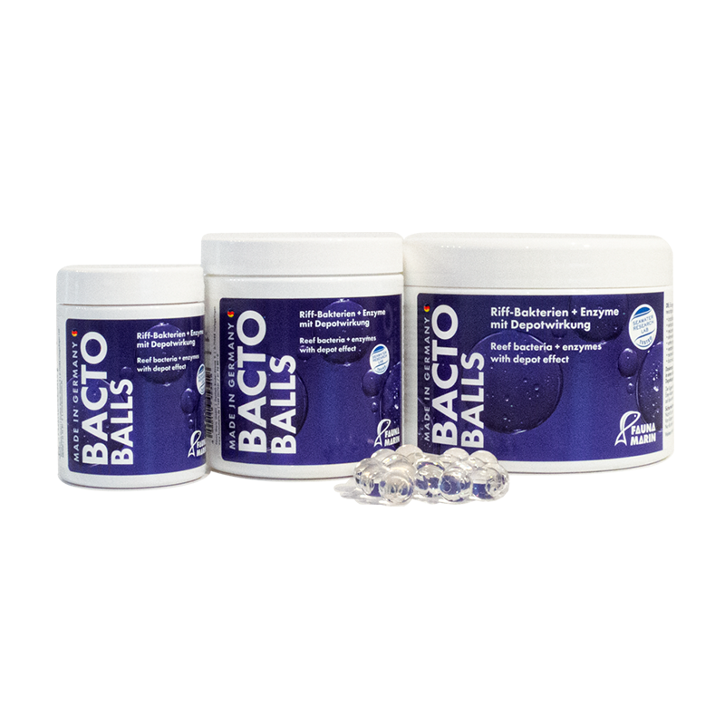BACTO REEF BALLS MARINE 250ml
